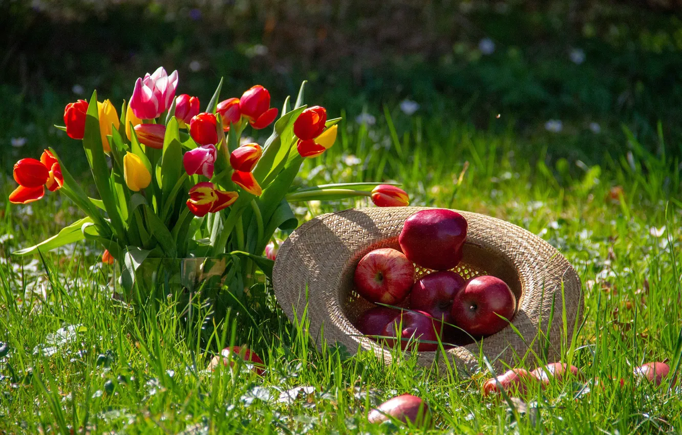 Photo wallpaper Flowers, Tulips, Bouquet, Weed, Hat, Apples