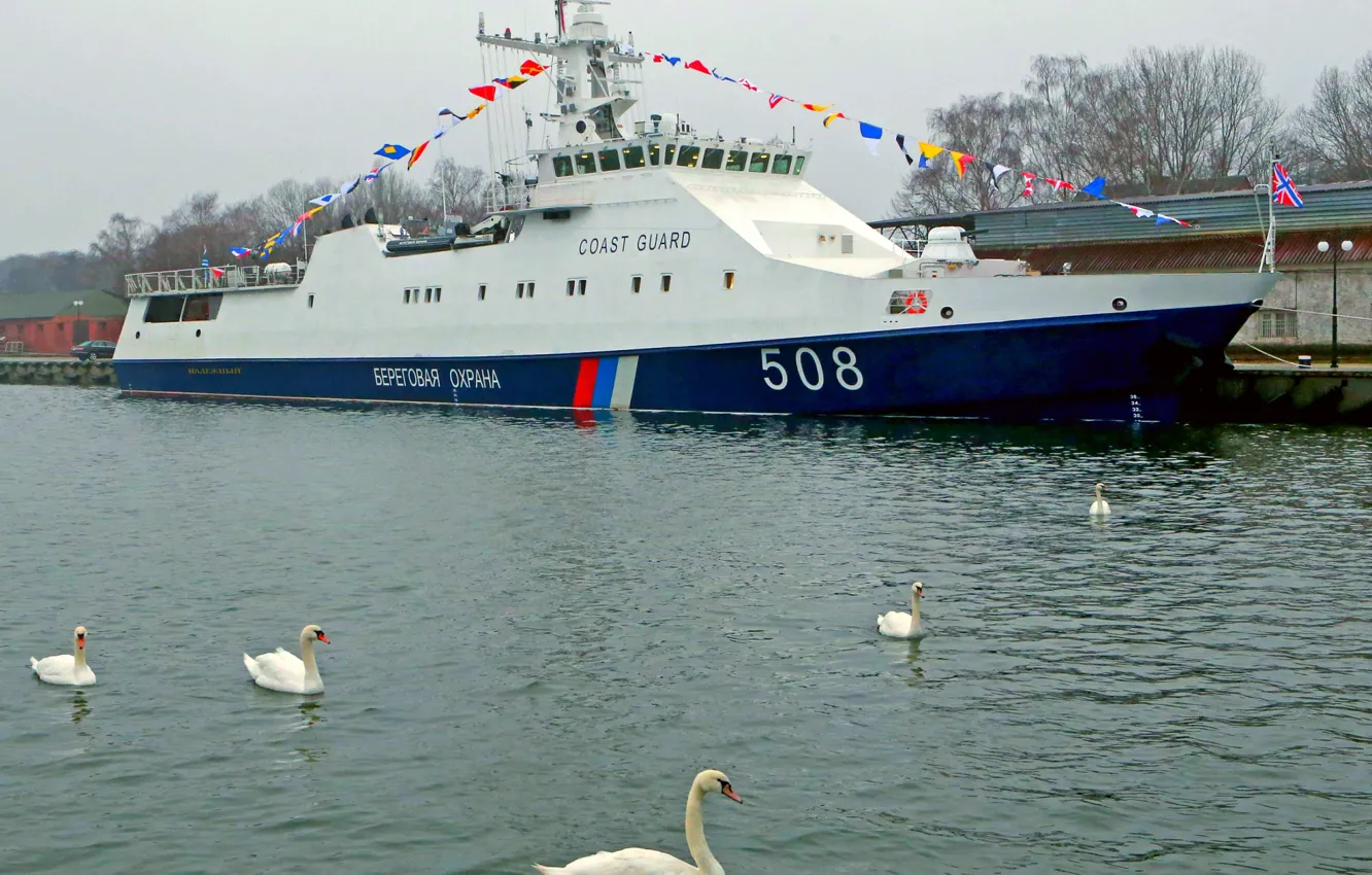 Photo wallpaper swans, Baltiysk, reliable, patrol, project 2340