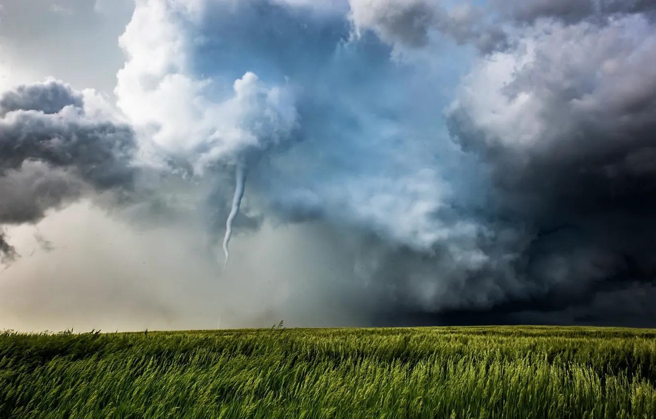 Photo wallpaper field, nature, tornado