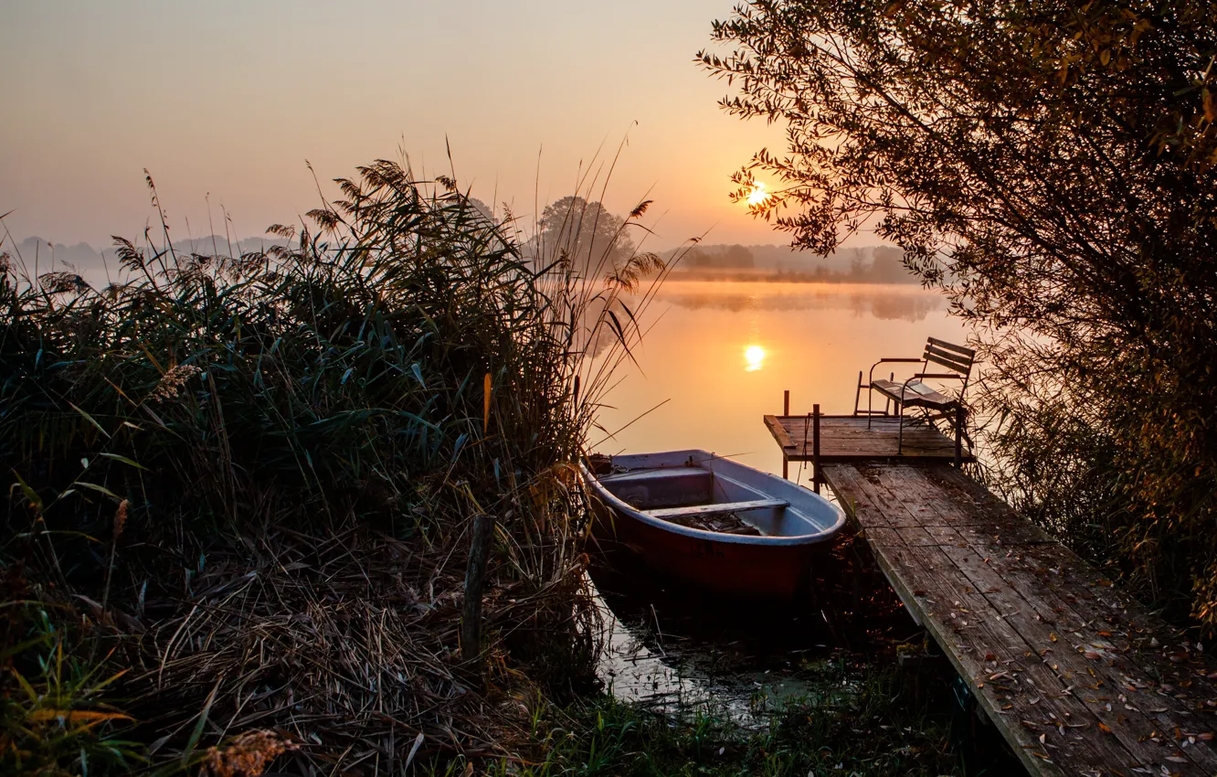 Photo wallpaper grass, landscape, nature, lake, cane, dawn, boat, morning