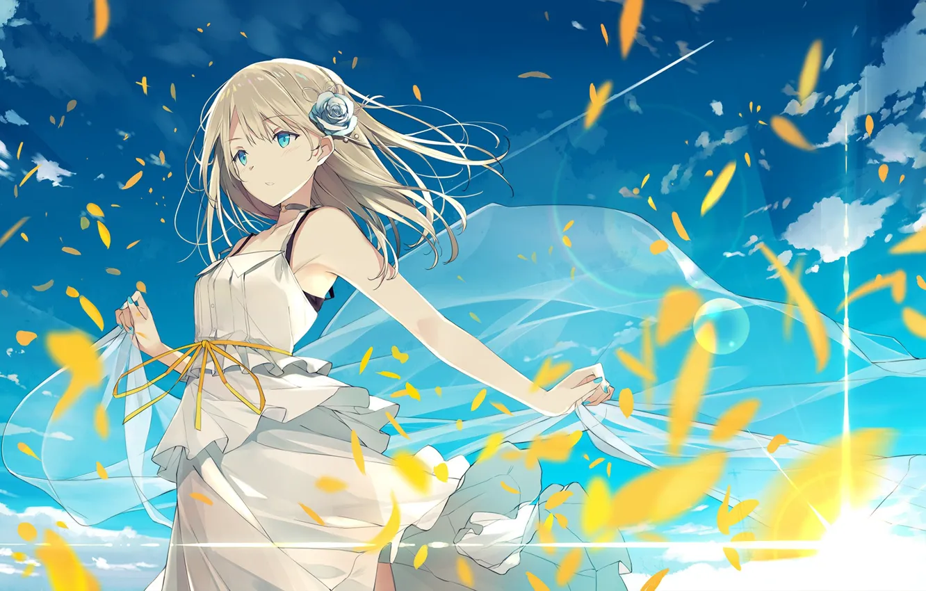 Photo wallpaper the sky, girl, the wind, petals