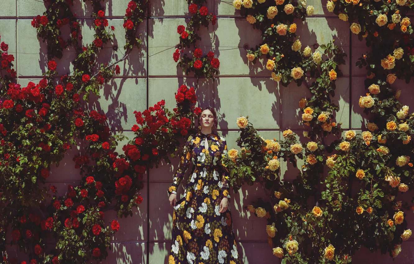 Photo wallpaper girl, flowers, wall, dress
