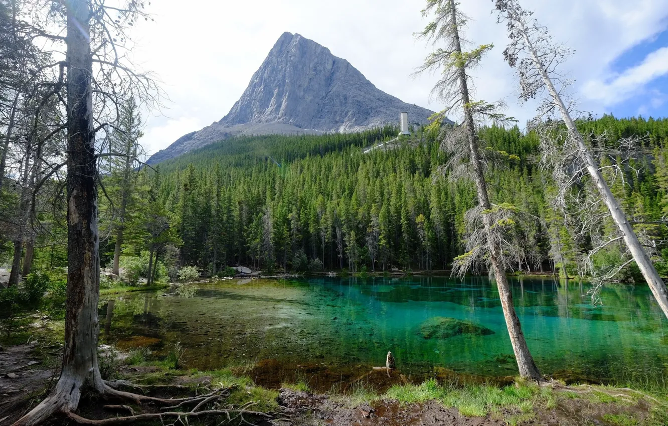 Photo wallpaper Lake, Mountain, Spruce forest