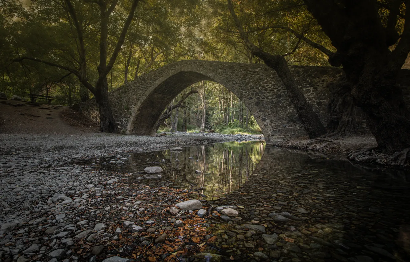 Photo wallpaper forest, landscape, bridge, nature, river, stones, Cyprus