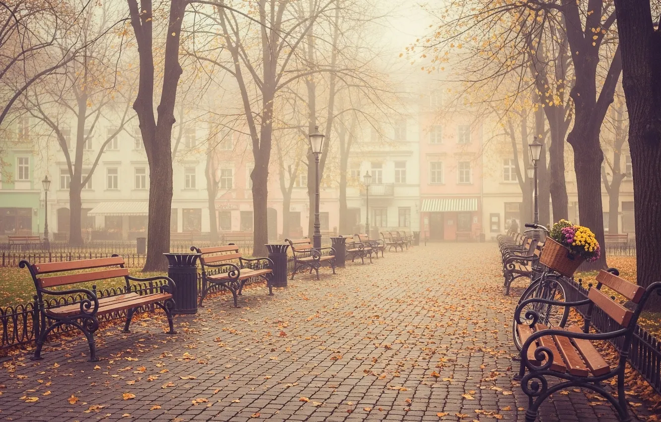Photo wallpaper autumn, fog, Park