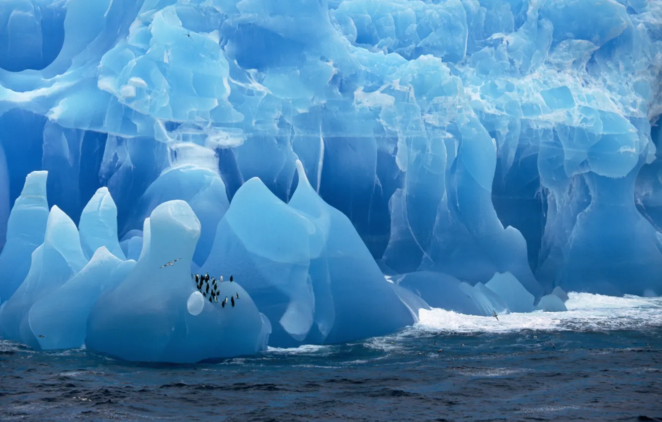 Photo wallpaper ice, sea, penguins, glacier