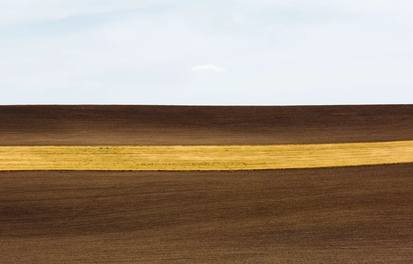 Photo wallpaper field, the sky, nature