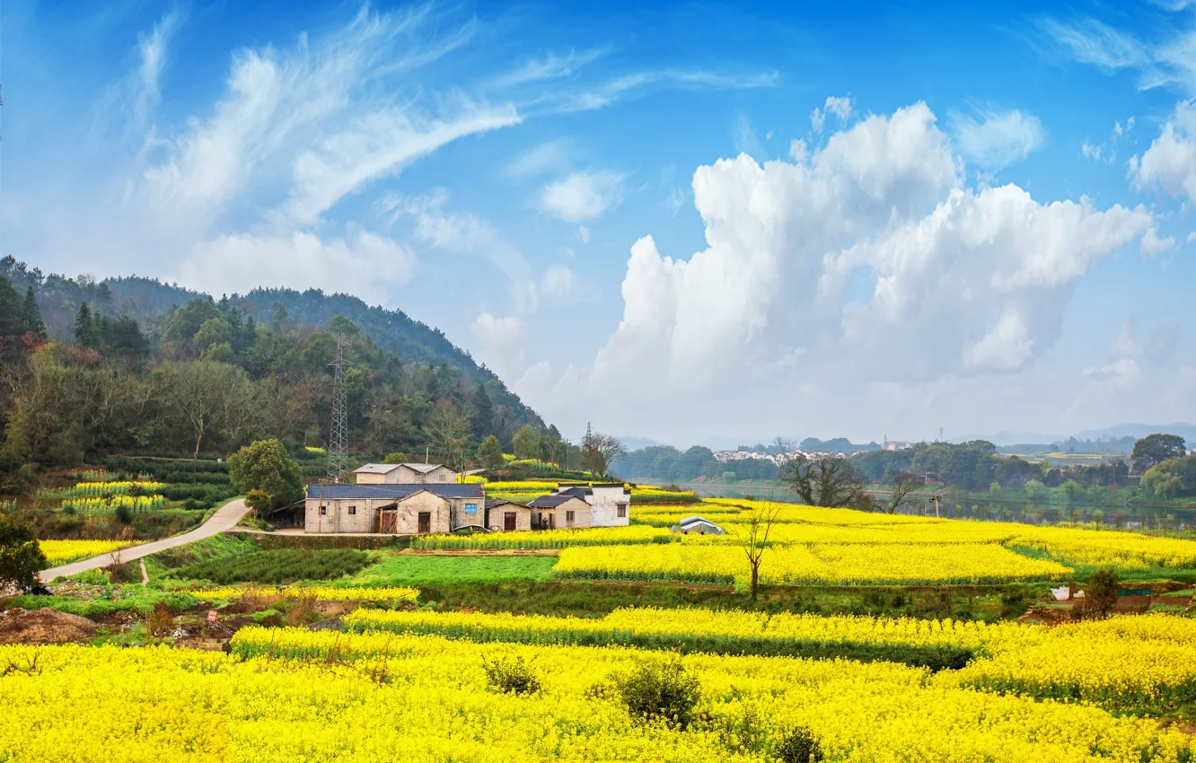 Photo wallpaper house, mountains, road, rape, blue, farm, haze, view