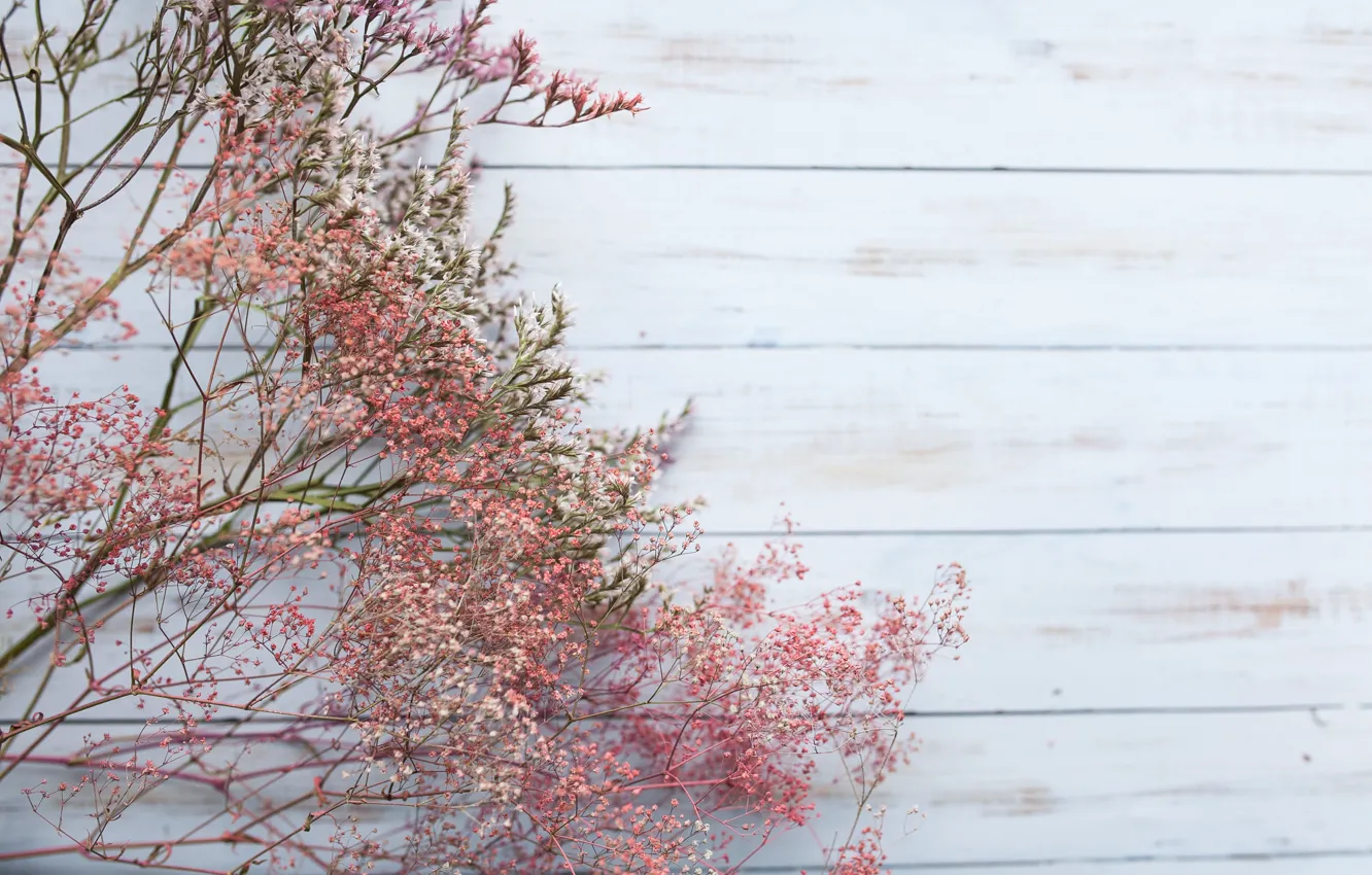 Photo wallpaper flowers, branches, field