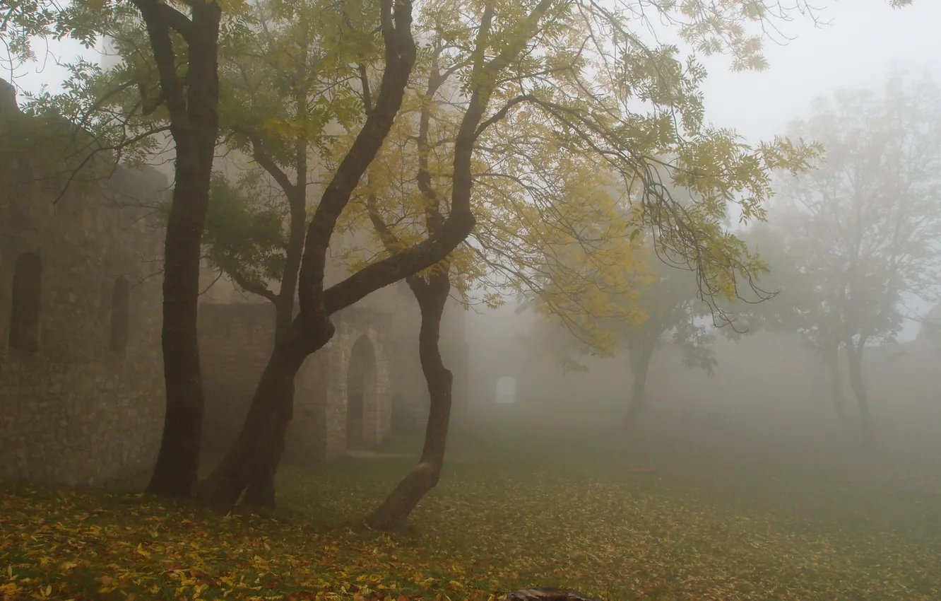 Photo wallpaper autumn, trees, fog, fortress