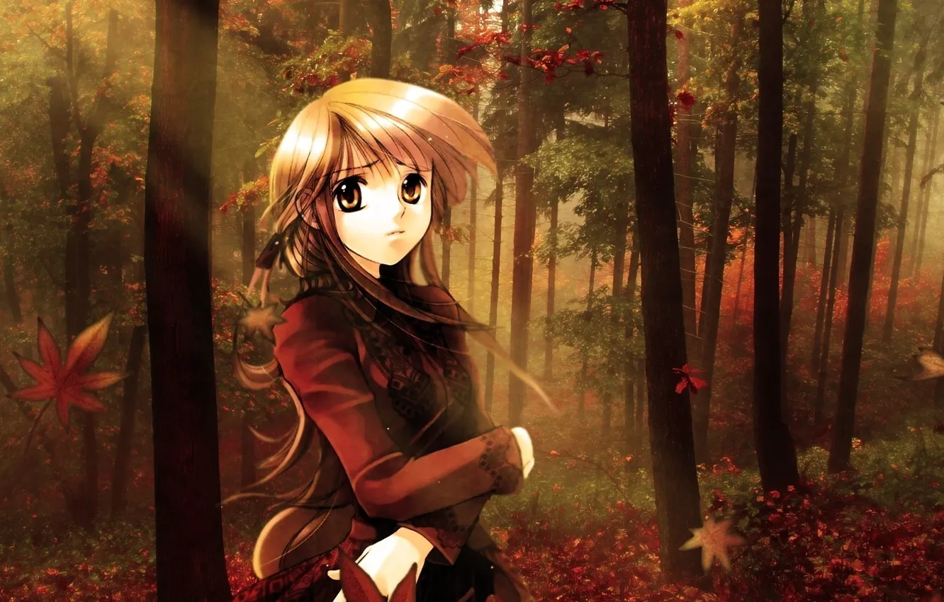 Photo wallpaper forest, leaves, girl