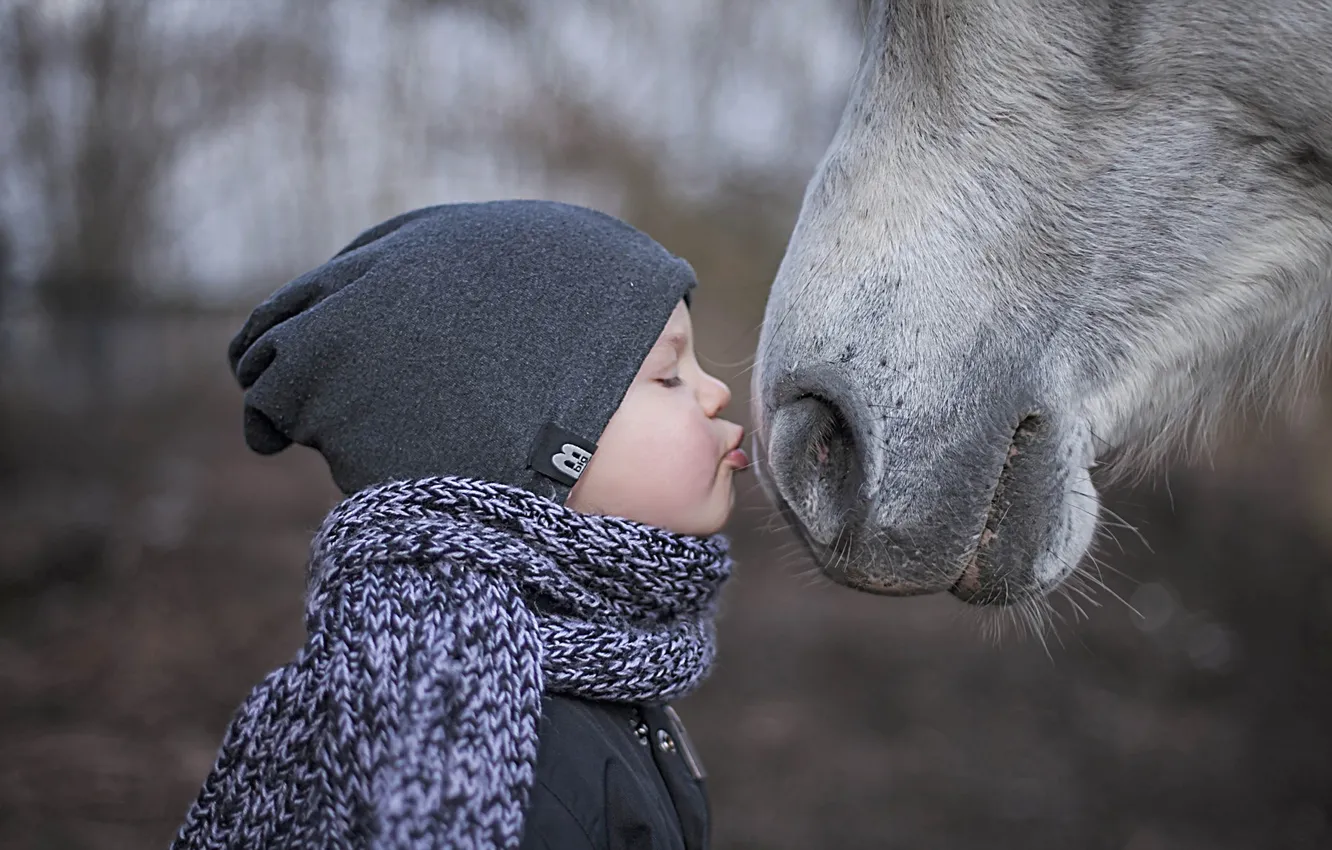 Photo wallpaper mood, horse, boy