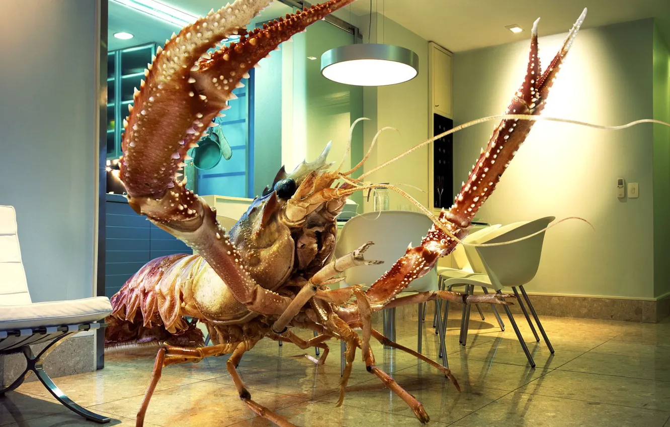 Photo wallpaper room, shrimp, giant