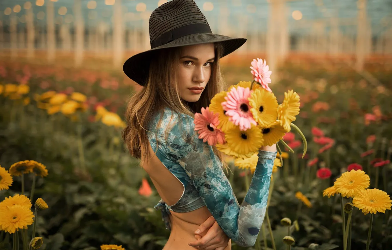 Photo wallpaper field, summer, look, girl, flowers, yellow, pose, glade