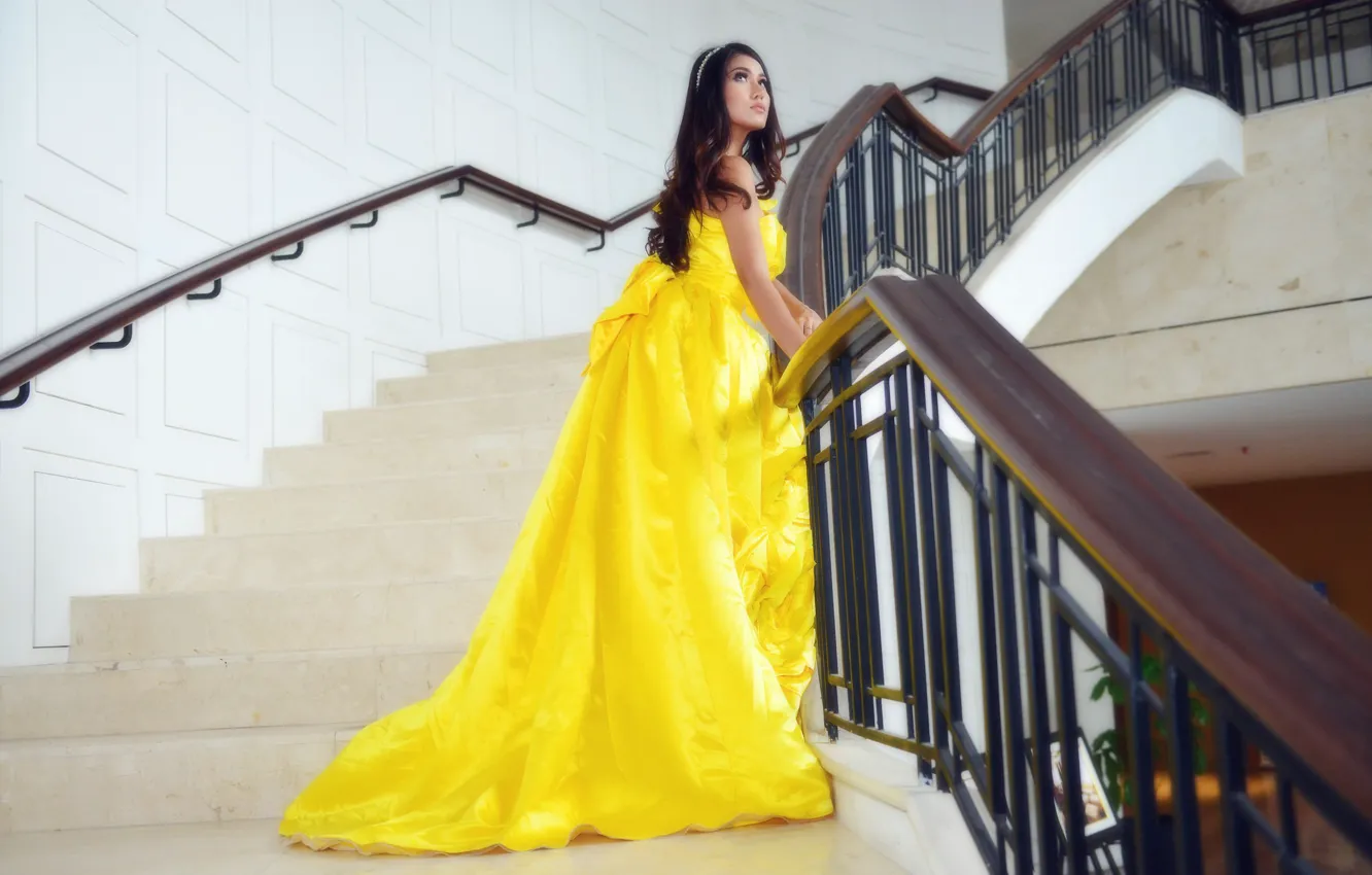 Photo wallpaper look, model, dress, brunette, ladder, MAYA NOVETHESIA