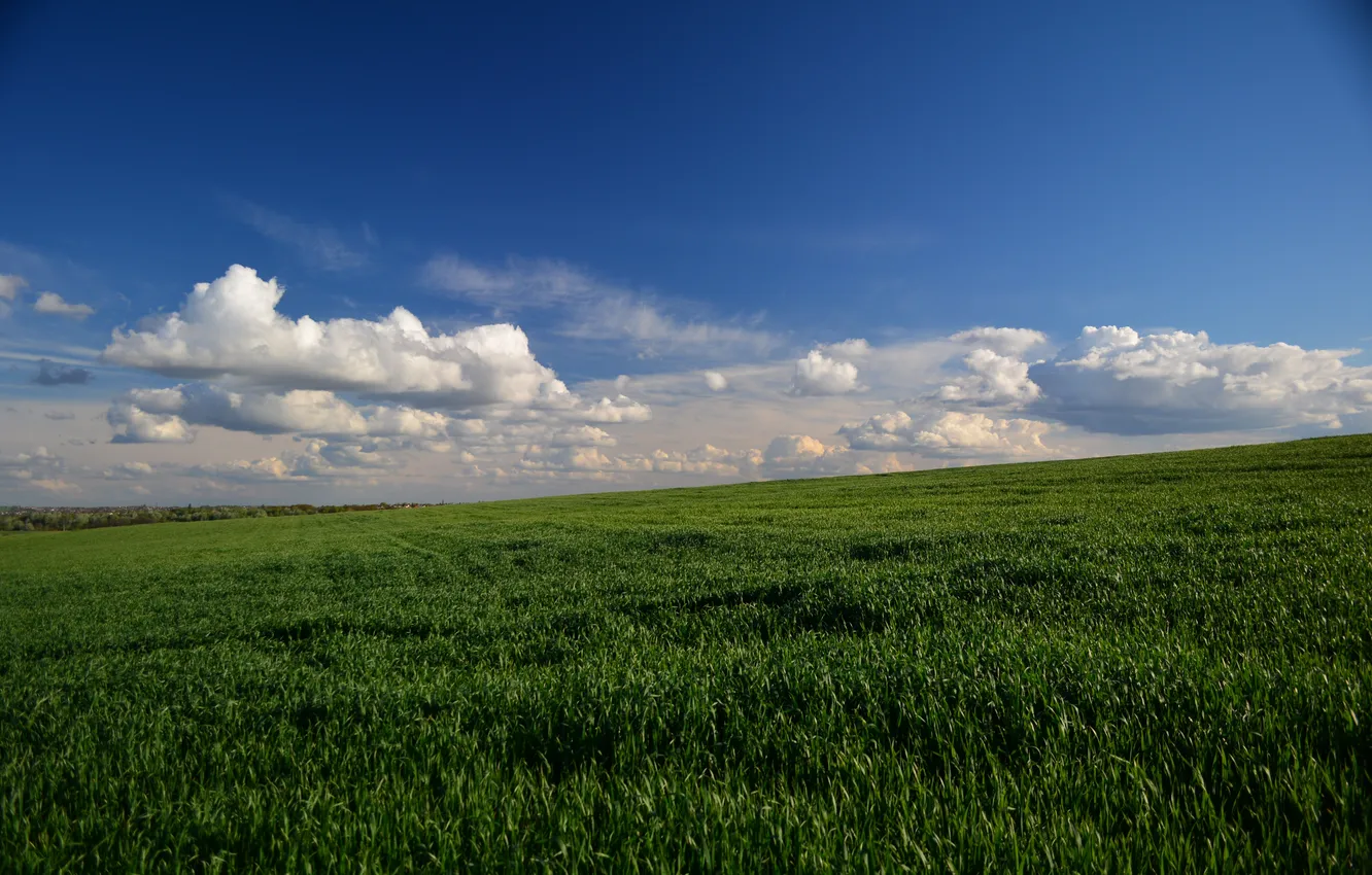 Photo wallpaper field, the sky, landscape