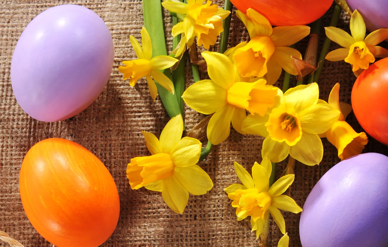 Photo wallpaper flowers, photo, holiday, eggs, Easter, different, daffodils