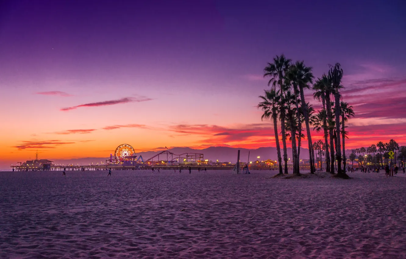 Photo wallpaper beach, palm trees, the ocean, CA, USA, Los Angeles, Santa Monica