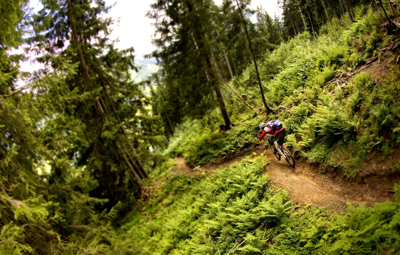 Photo wallpaper nature, athlete, cyclist, mountain bike
