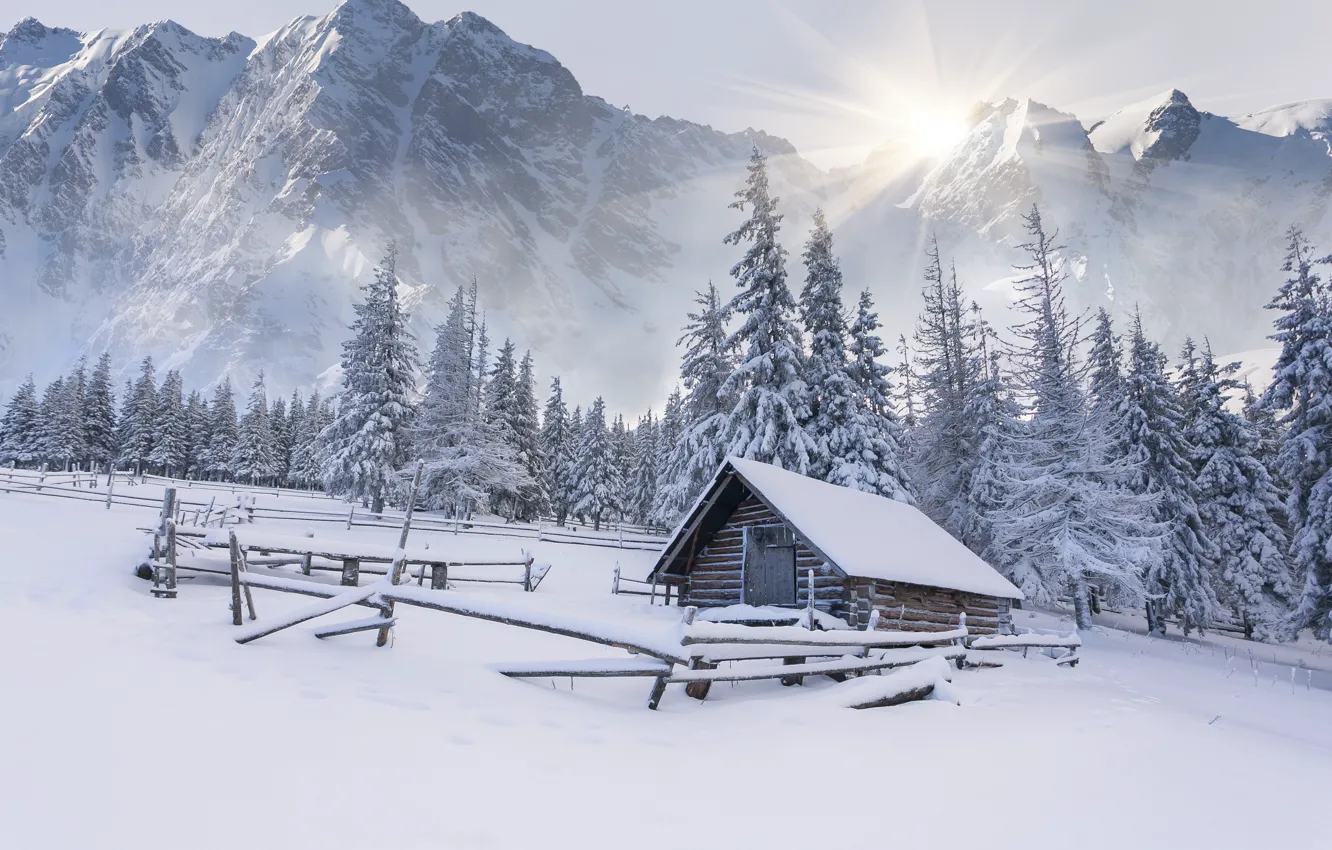 Photo wallpaper winter, snow, mountains, tree, the snow, house, hut, landscape