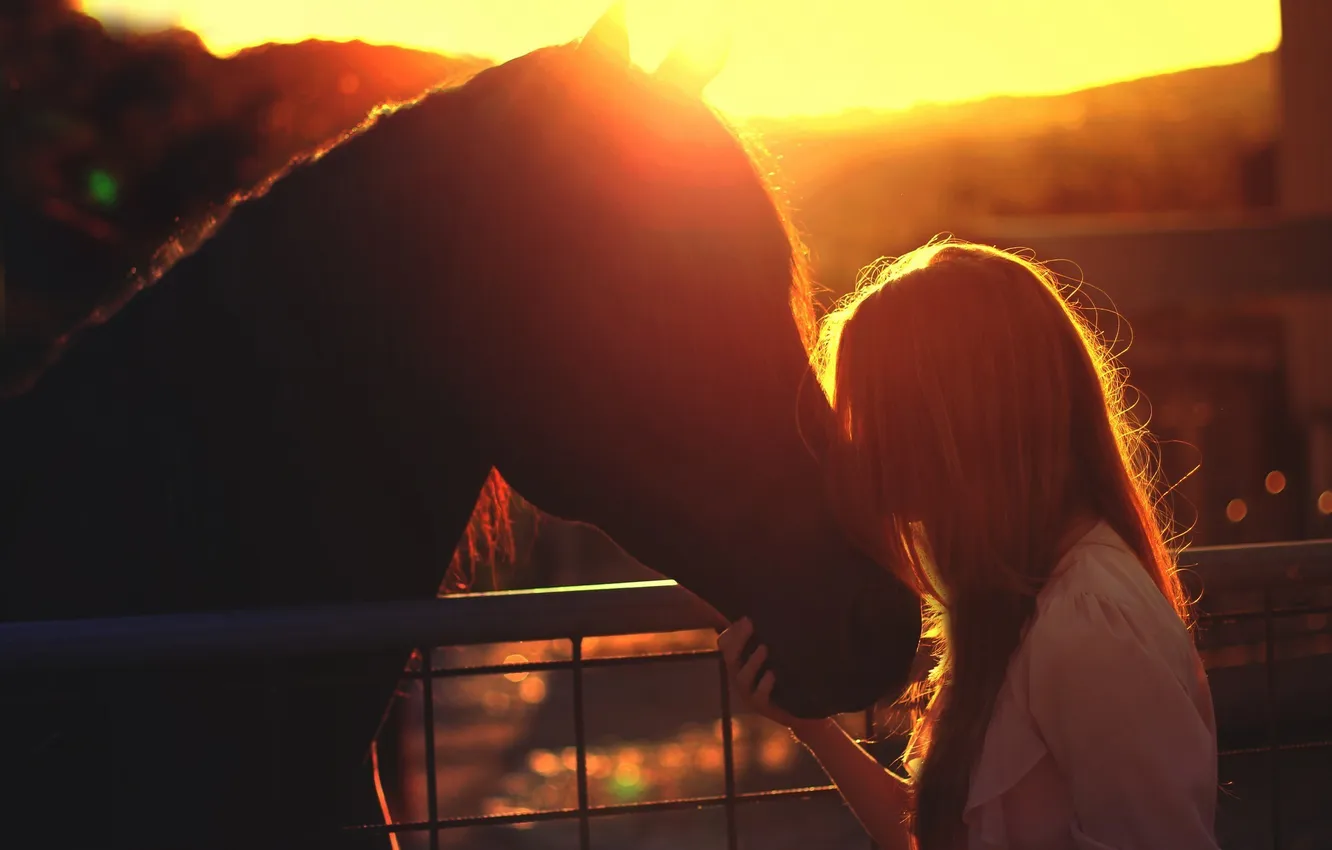 Photo wallpaper girl, sunset, each, horse