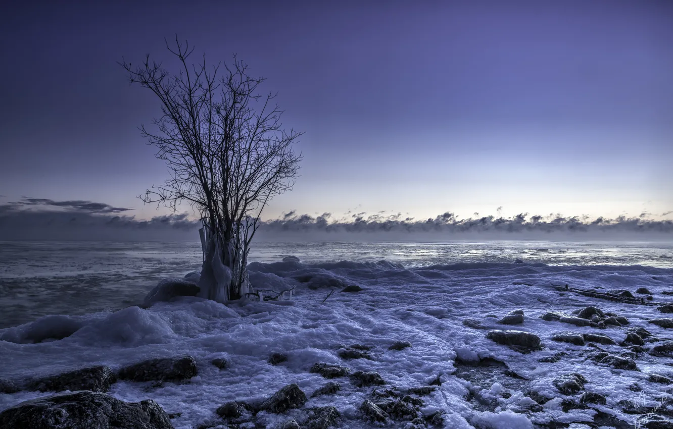 Photo wallpaper ice, sea, trees, shore