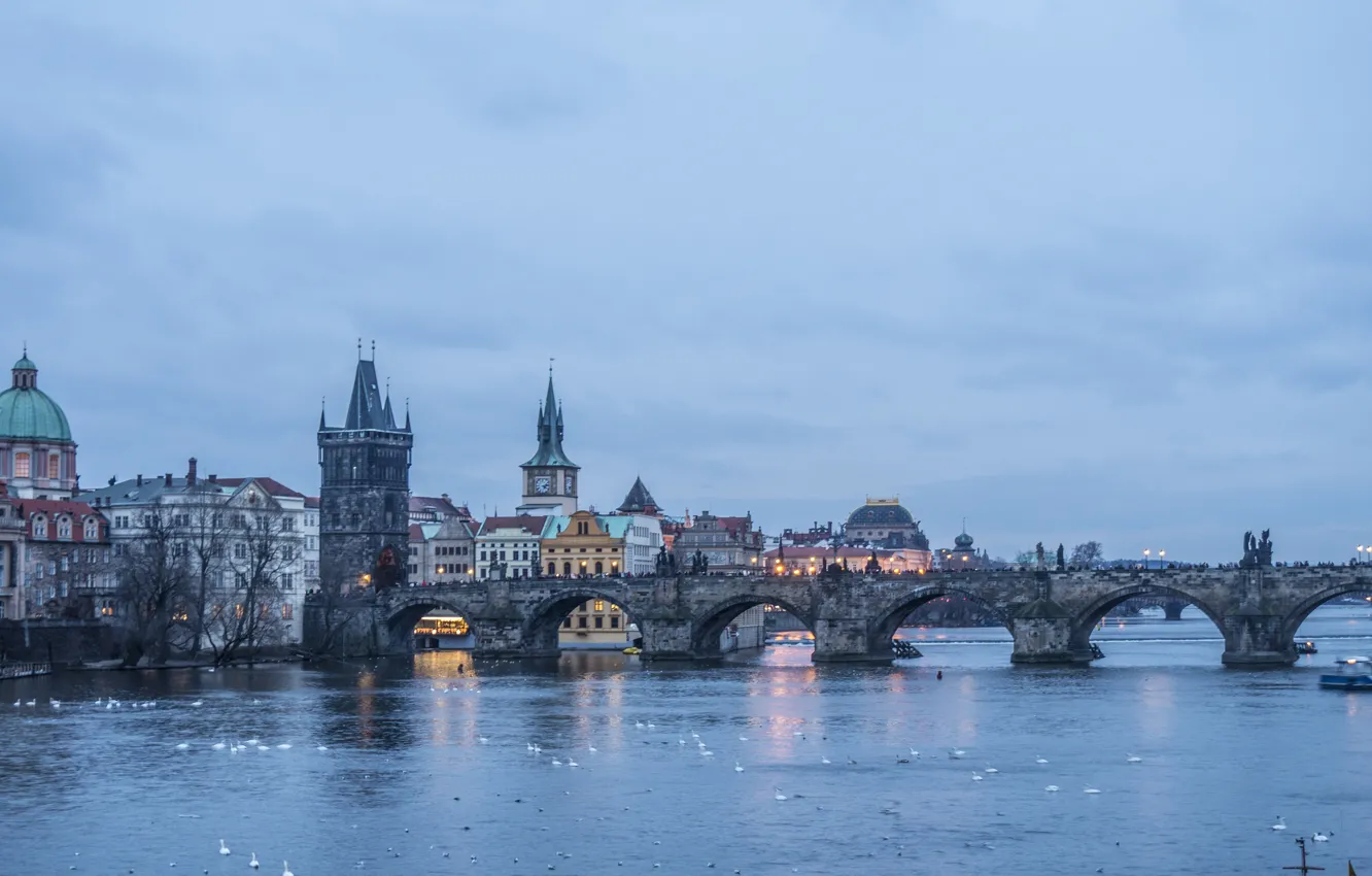 Photo wallpaper water, birds, evening, Prague, architecture, cityscape, ducks, cloudy