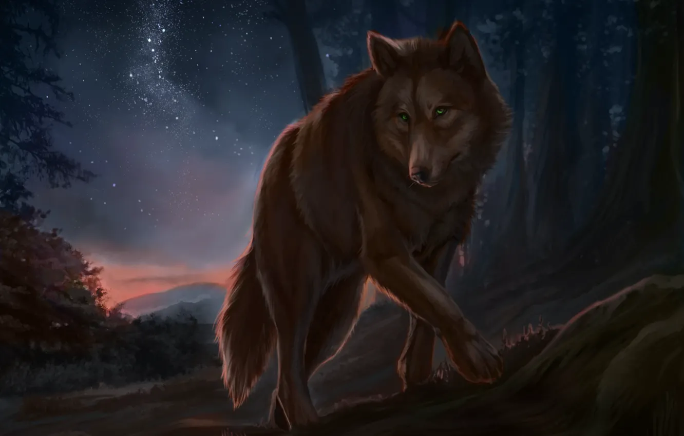 Photo wallpaper night, wolf, artwork