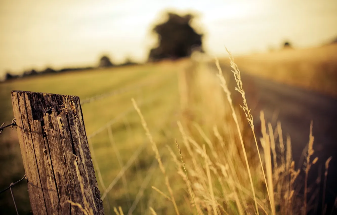 Photo wallpaper road, summer, landscape, the fence