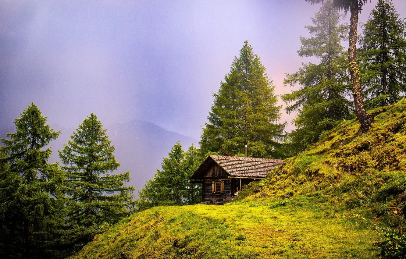 Photo wallpaper trees, mountains, house