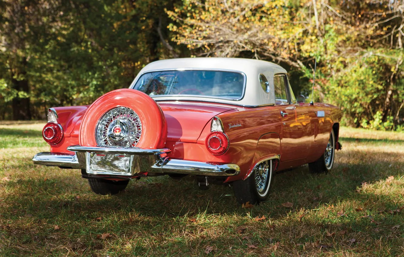 Photo wallpaper Ford, Ford, 1965, retro cars, Thunderbird, Retro Cars, Ford Thunderbird Convertible