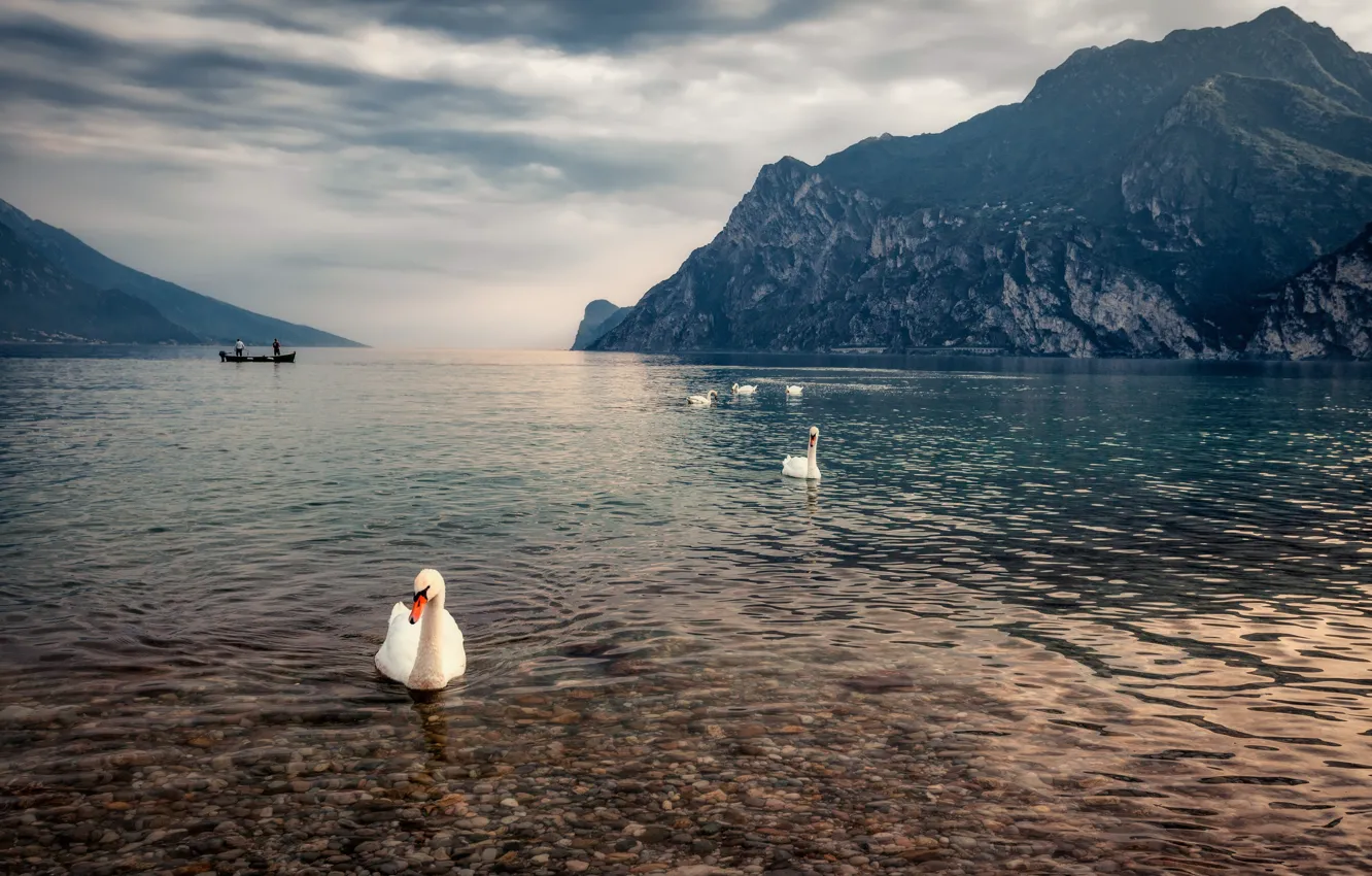 Photo wallpaper landscape, mountains, nature, lake, bird, swans, Alexander the Silent