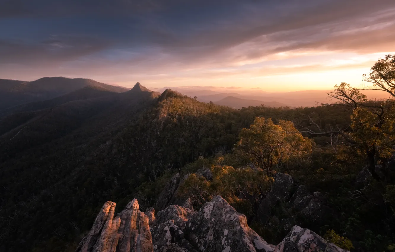 Photo wallpaper forest, mountains, stones