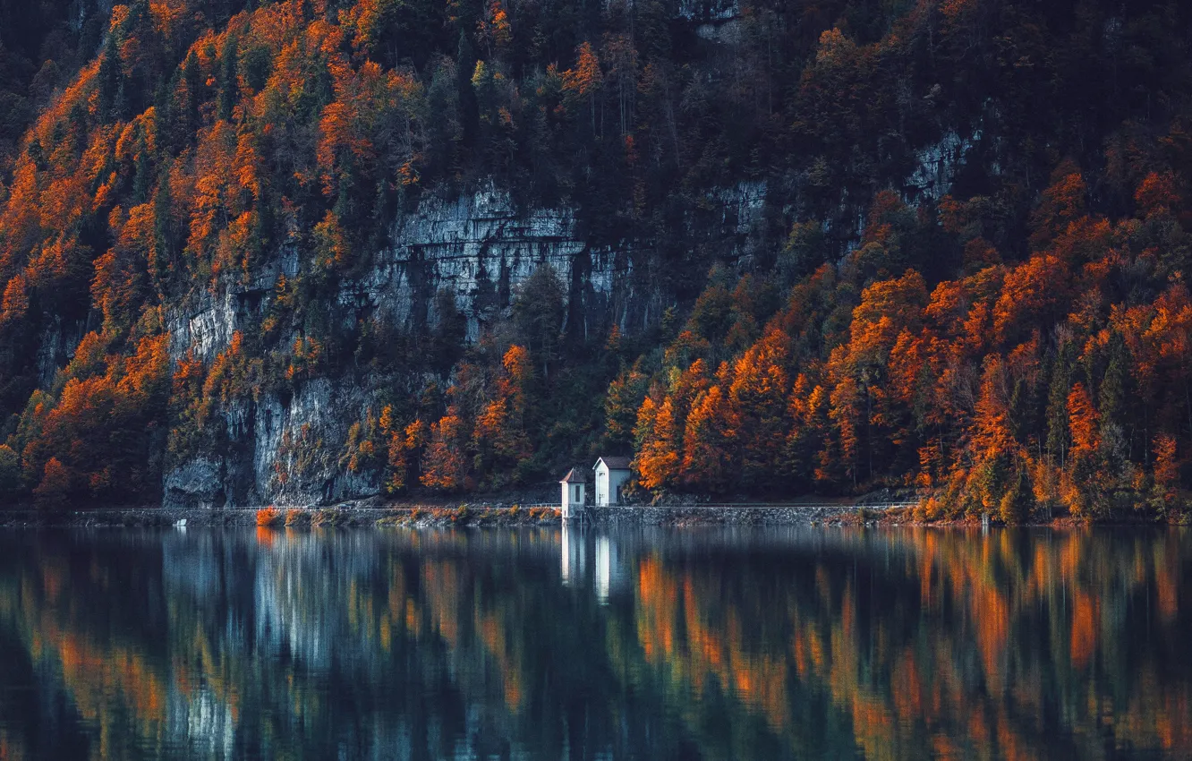 Photo wallpaper autumn, forest, water, trees, mountains, lake, reflection, the dark background
