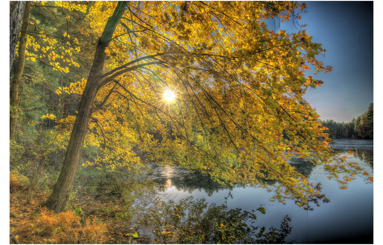 Photo wallpaper autumn, trees, lake, New Hampshire, New Hampshire, Nashua, Nashua