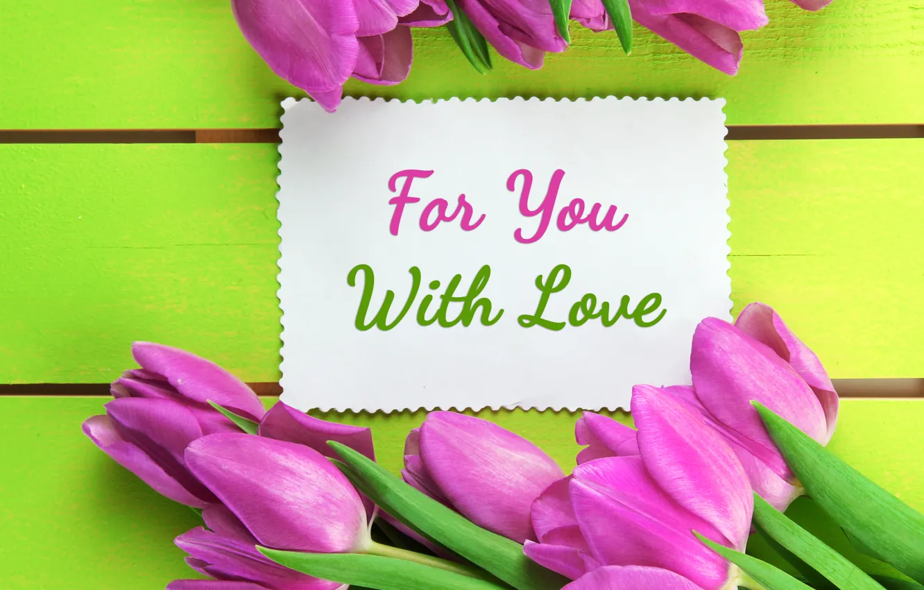 Photo wallpaper flowers, tulips, love, fresh, pink, flowers, tulips, spring
