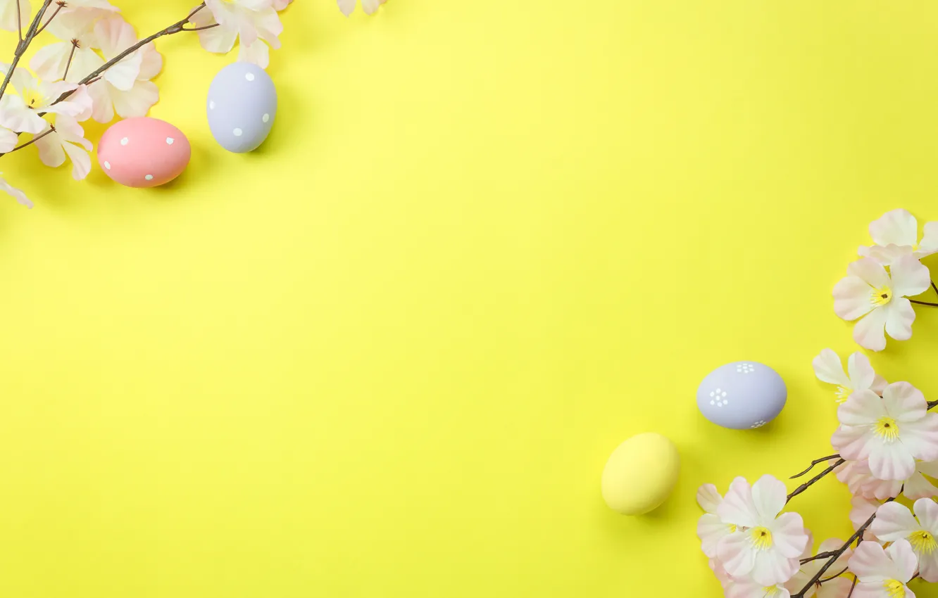 Photo wallpaper flowers, background, eggs, spring, Easter, blossom, flowers, spring