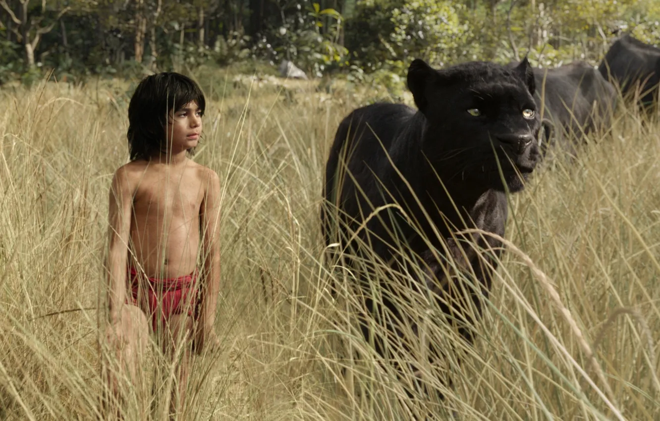 Photo wallpaper grass, boy, Panther, walk, Bagira, Mowgli, The Jungle Book, The jungle book