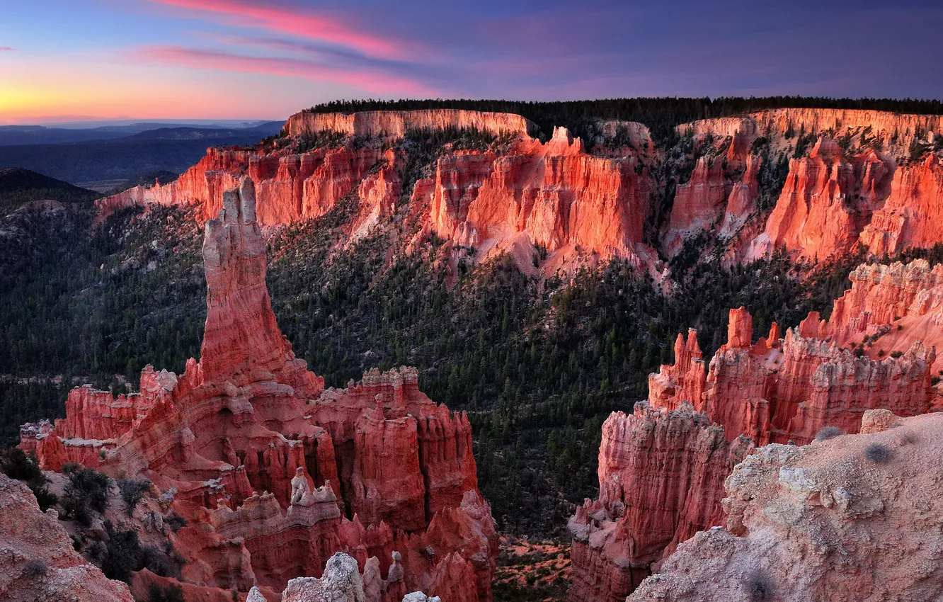 Photo wallpaper forest, the sky, sunset, nature, rocks