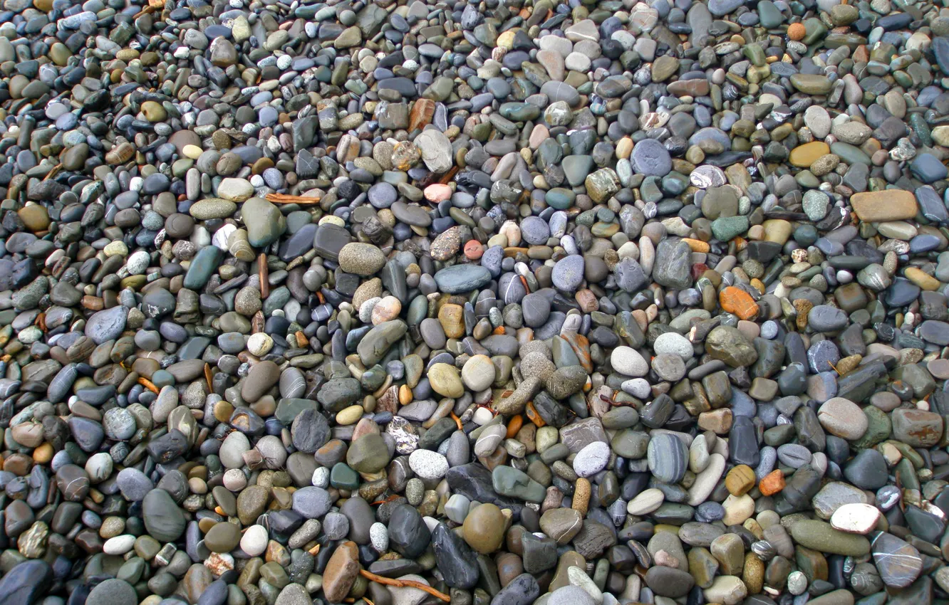 Photo wallpaper beach, pebbles, stones, shore