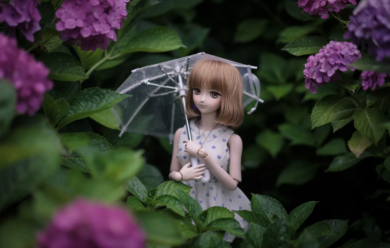 Photo wallpaper umbrella, doll, hydrangea