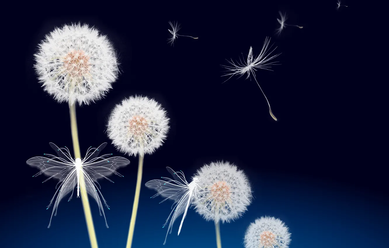 Photo wallpaper landscape, dandelions, garden, blooming