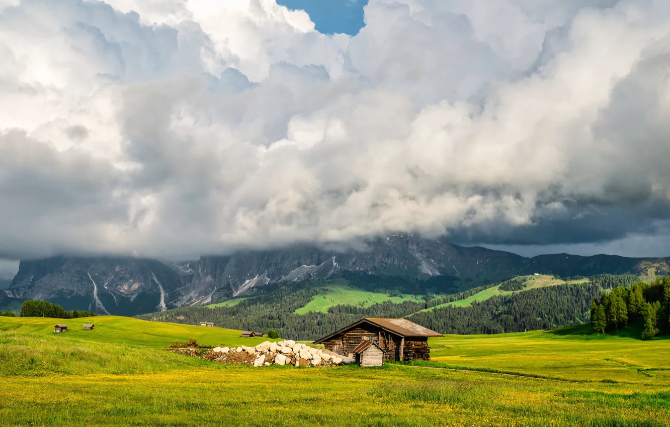 Photo wallpaper field, forest, clouds, mountains, house