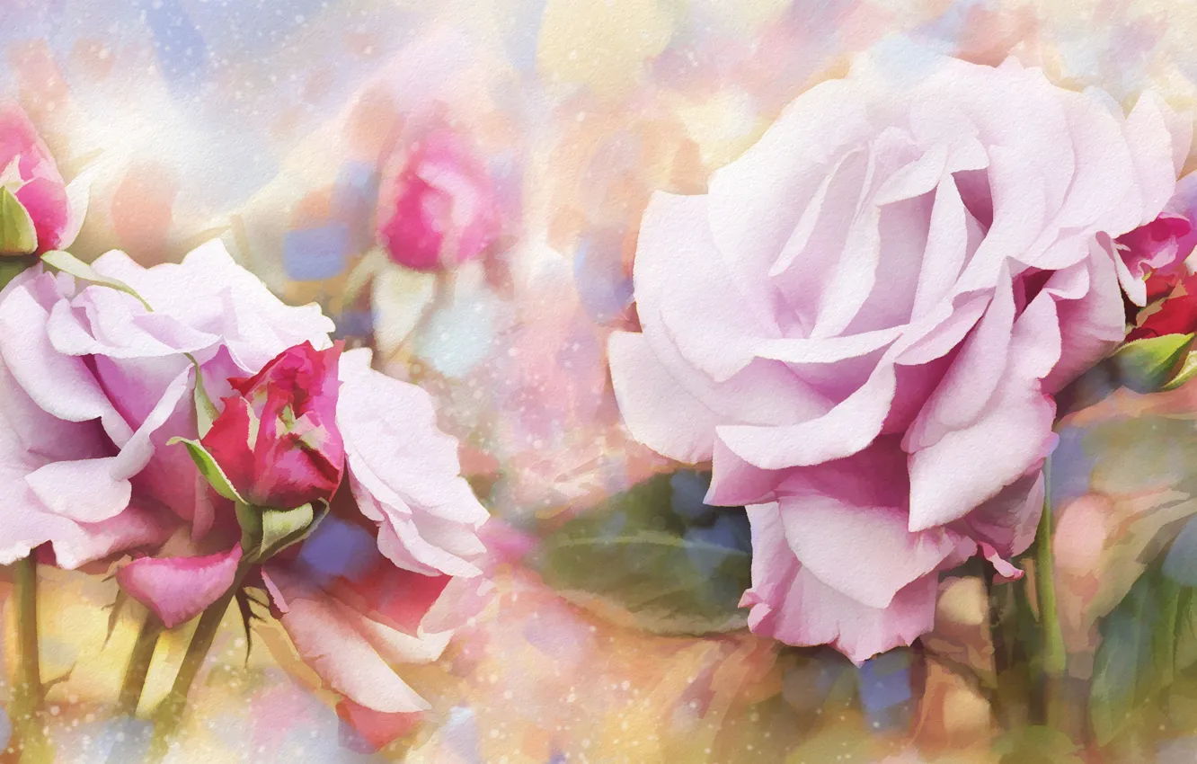 Photo wallpaper flowers, roses, buds