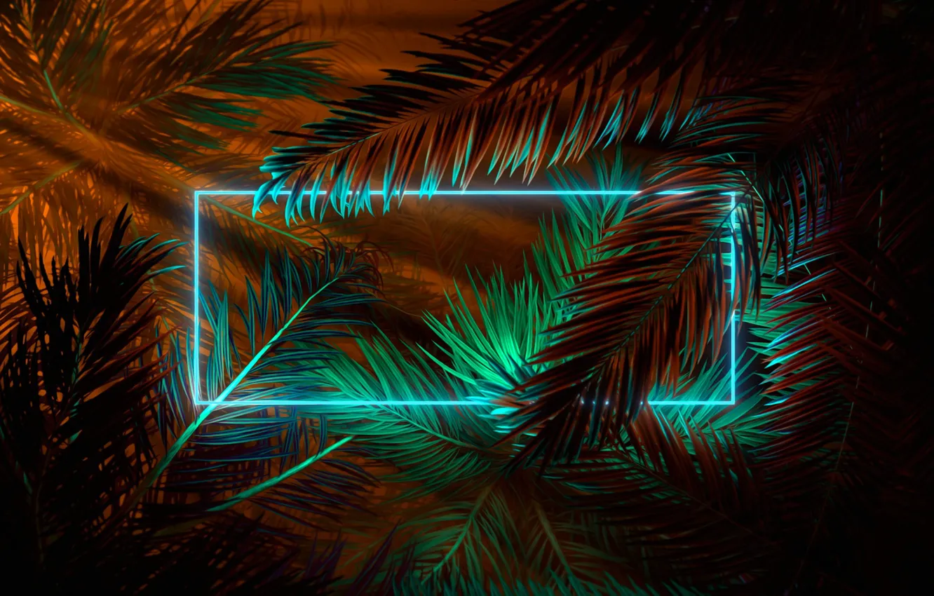 Photo wallpaper summer, night, palm trees, neon, summer, Neon, palm tree, Summer nights