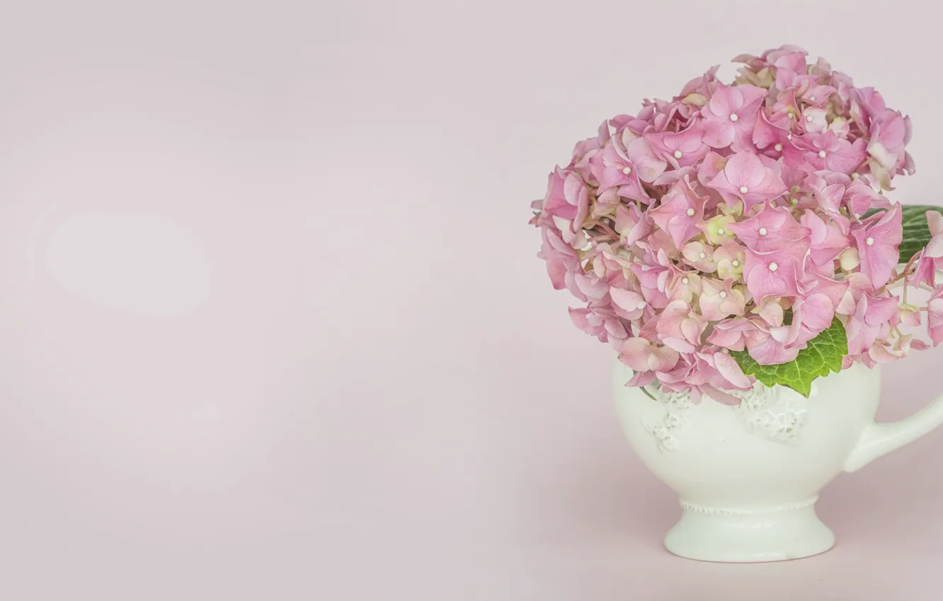 Photo wallpaper flowers, background, vase, hydrangea, Morganval