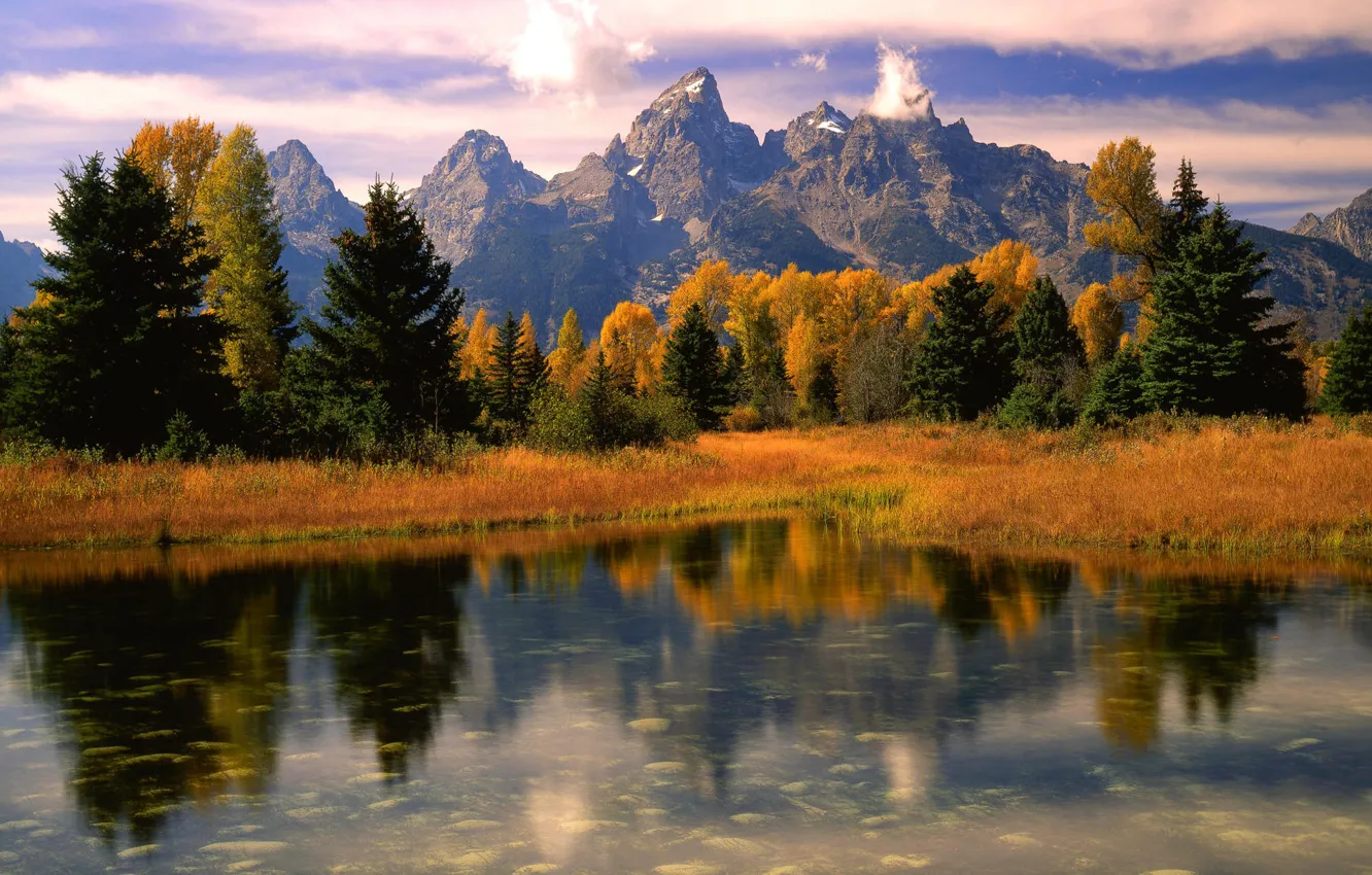 Photo wallpaper forest, grass, mountains, purity, pond