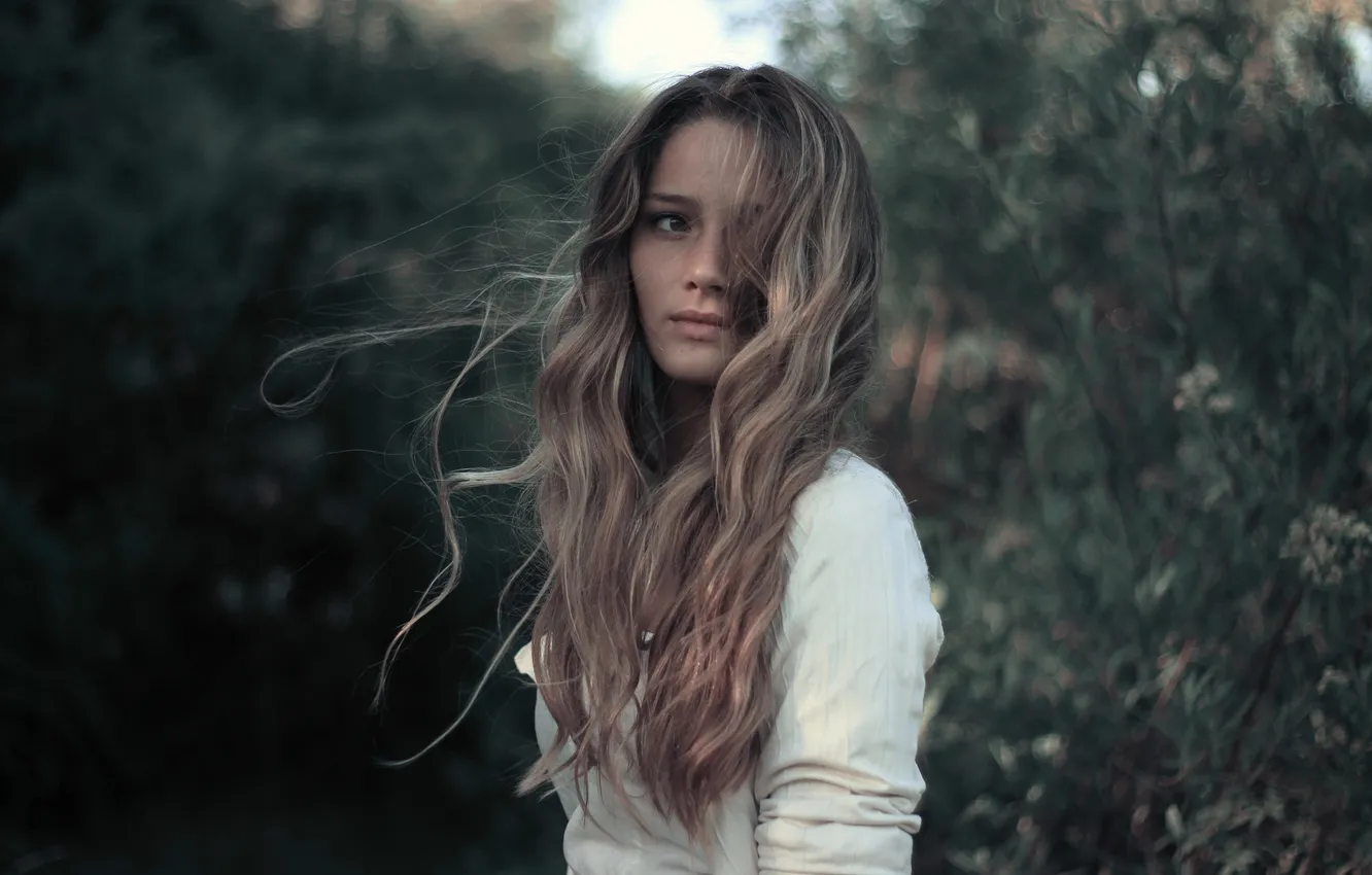 Photo wallpaper look, girl, the wind, hair