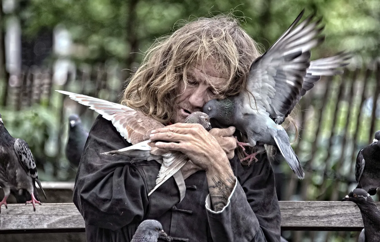 Photo wallpaper the city, people, pigeons