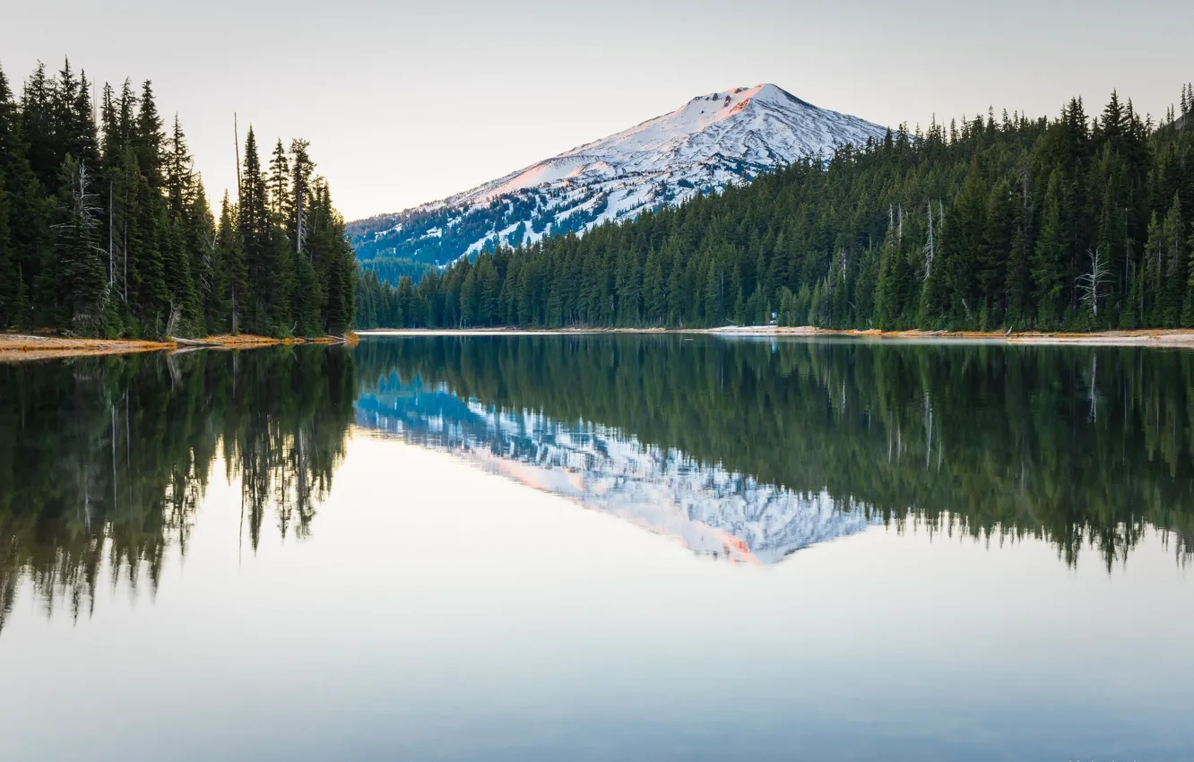 Photo wallpaper forest, trees, nature, lake, reflection, mountain